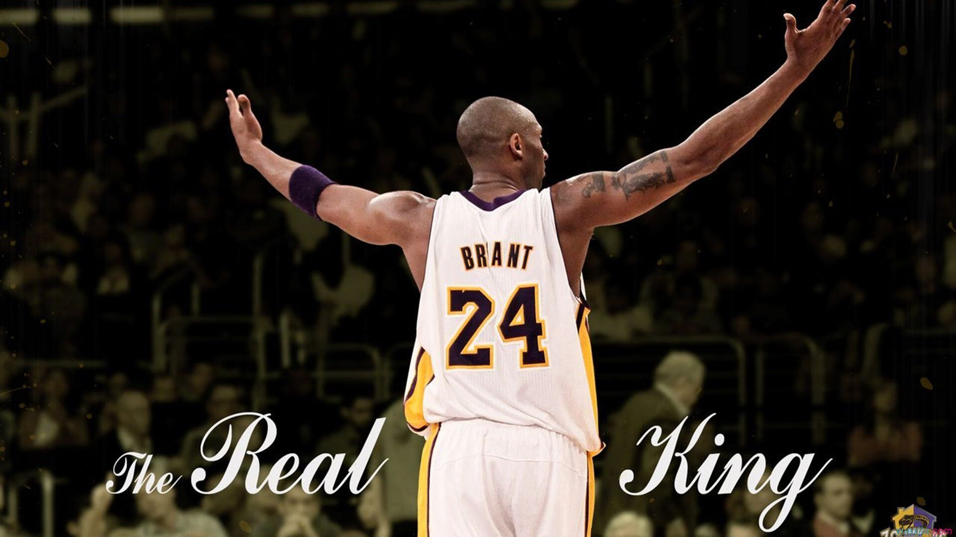 开云在线直播-战术大师：教你理解NBA复杂战术布置，nba常用战术视频